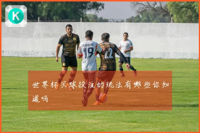 世界杯买球投注的玩法有哪些你知道吗