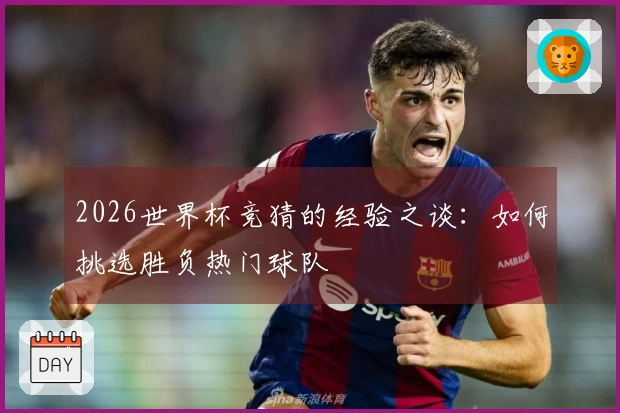 2026世界杯竞猜的经验之谈：如何挑选胜负热门球队