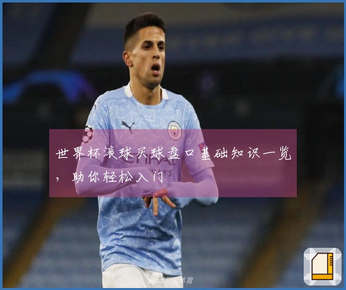 世界杯滚球买球盘口基础知识一览，助你轻松入门