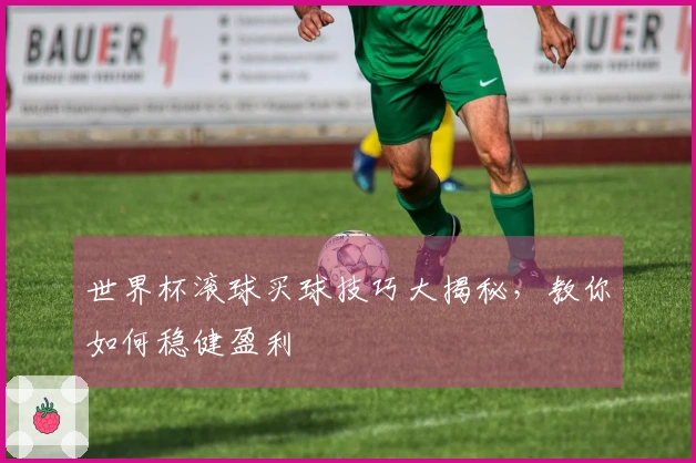 世界杯滚球买球技巧大揭秘，教你如何稳健盈利