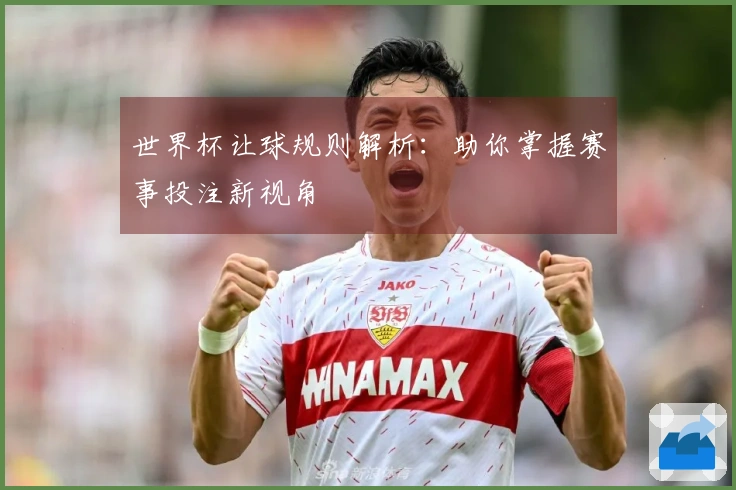世界杯让球规则解析：助你掌握赛事投注新视角