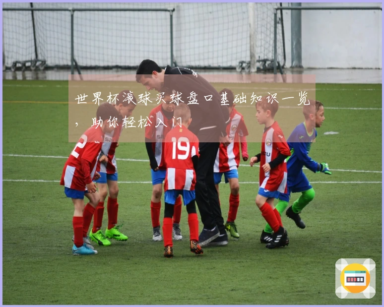 世界杯滚球买球盘口基础知识一览，助你轻松入门