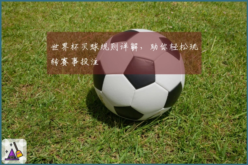 世界杯买球规则详解，助你轻松玩转赛事投注