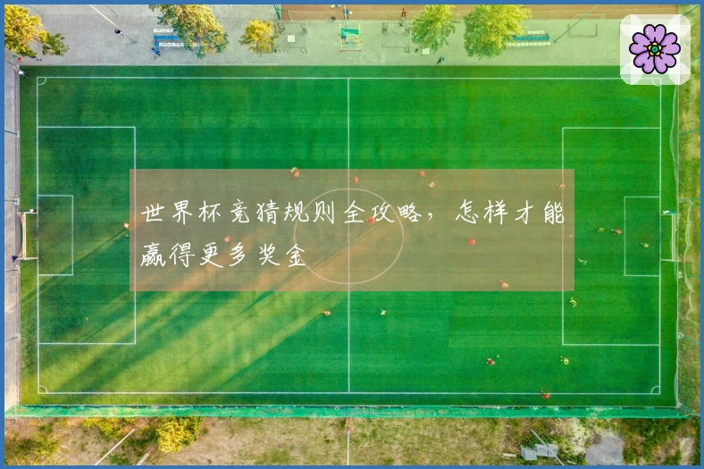 世界杯竞猜规则全攻略，怎样才能赢得更多奖金