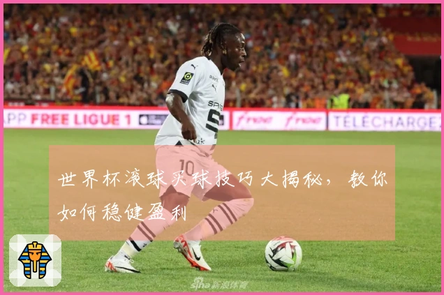 世界杯滚球买球技巧大揭秘，教你如何稳健盈利