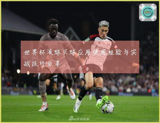 世界杯滚球买球应用使用经验与实战技巧分享