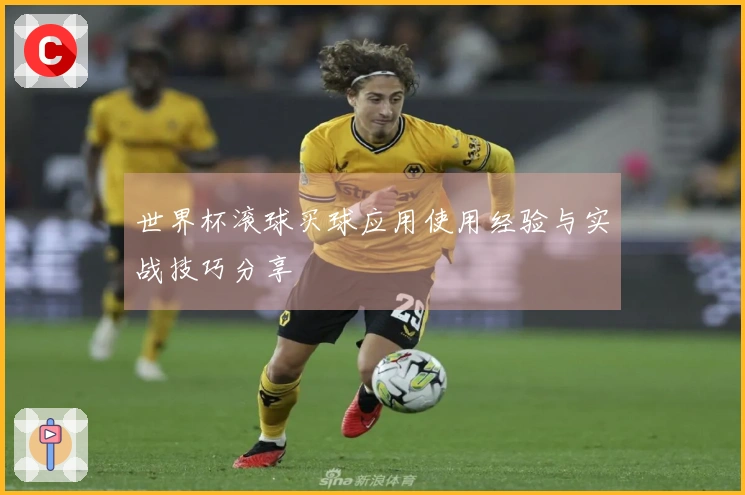 世界杯滚球买球应用使用经验与实战技巧分享