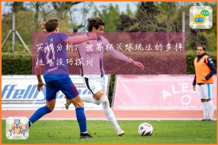 实战分析：世界杯买球玩法的多样性与技巧探讨